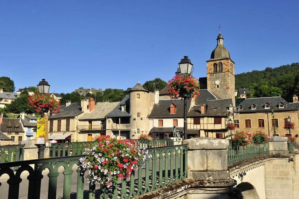 Au 11 T3 Duplex, Village Vacances, Piscines, Parking Saint-Geniez-dʼOlt 외부 사진