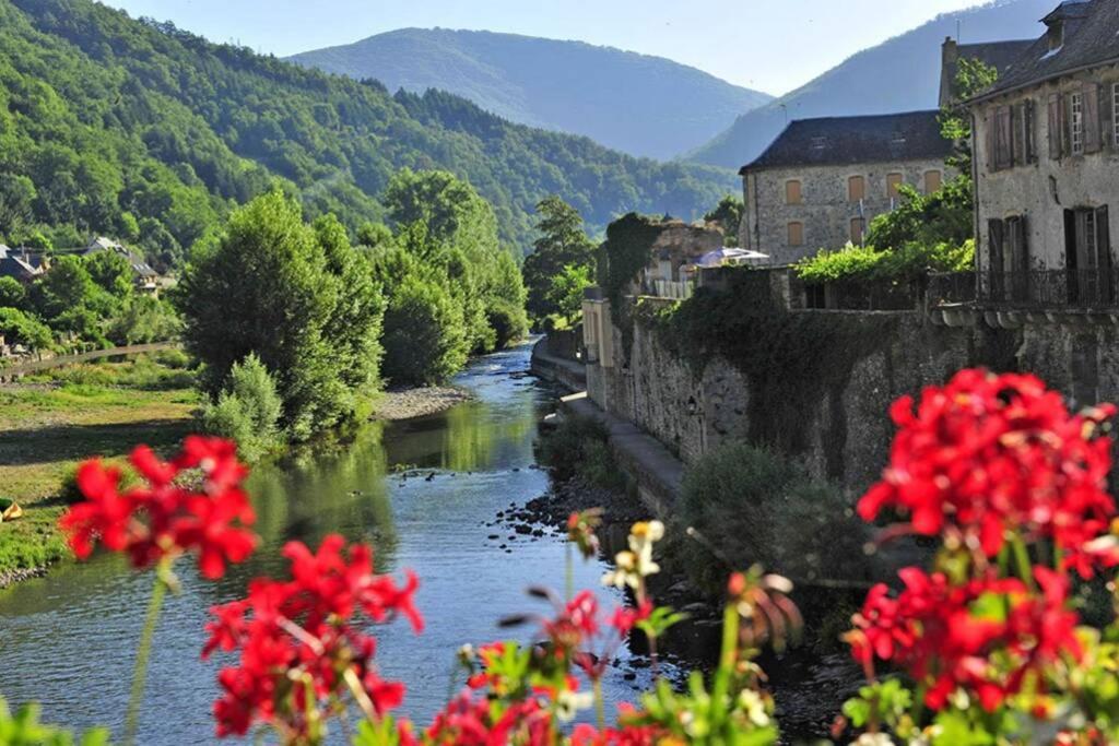Au 11 T3 Duplex, Village Vacances, Piscines, Parking Saint-Geniez-dʼOlt 외부 사진