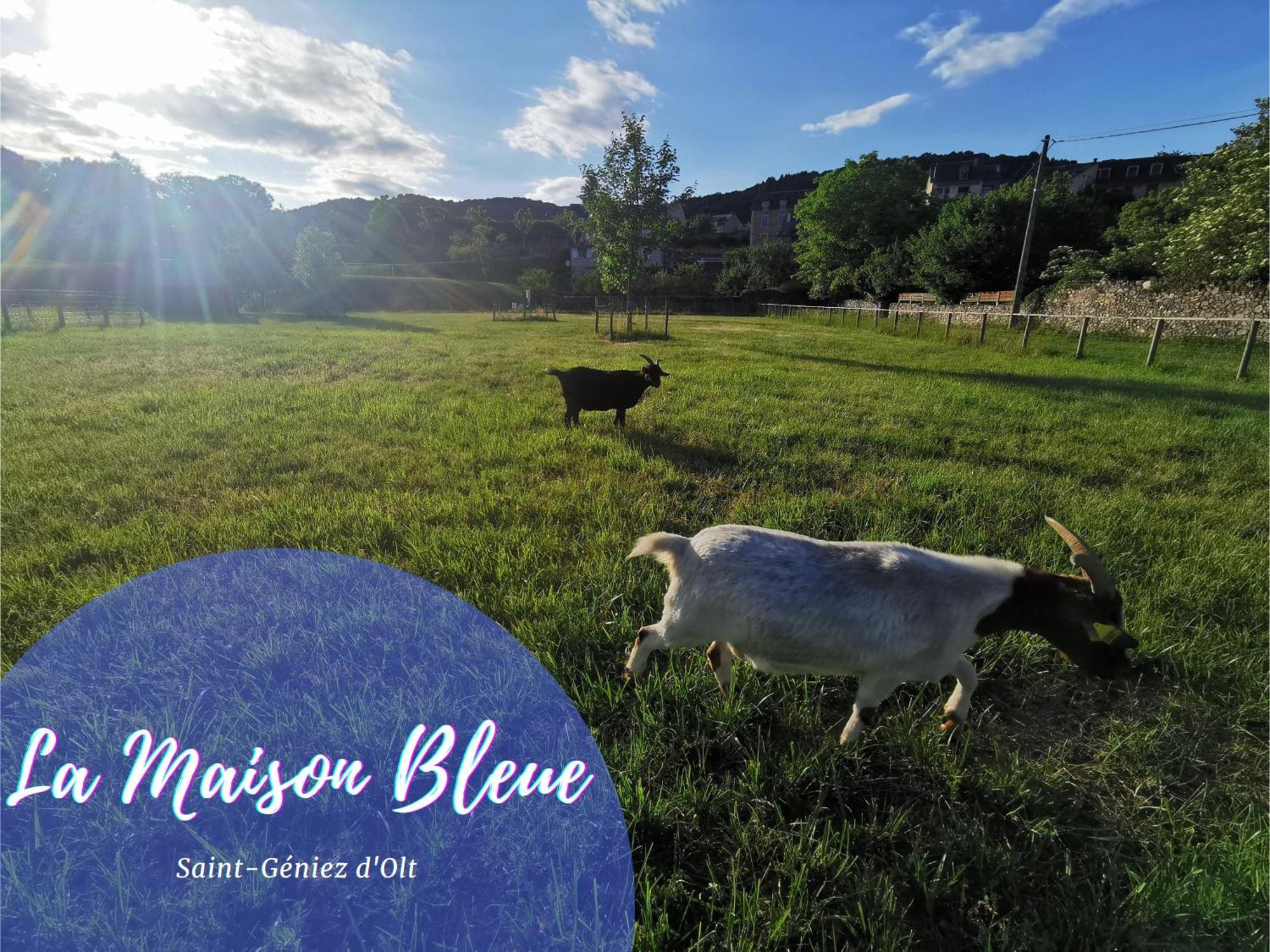 Au 11 T3 Duplex, Village Vacances, Piscines, Parking Saint-Geniez-dʼOlt 외부 사진