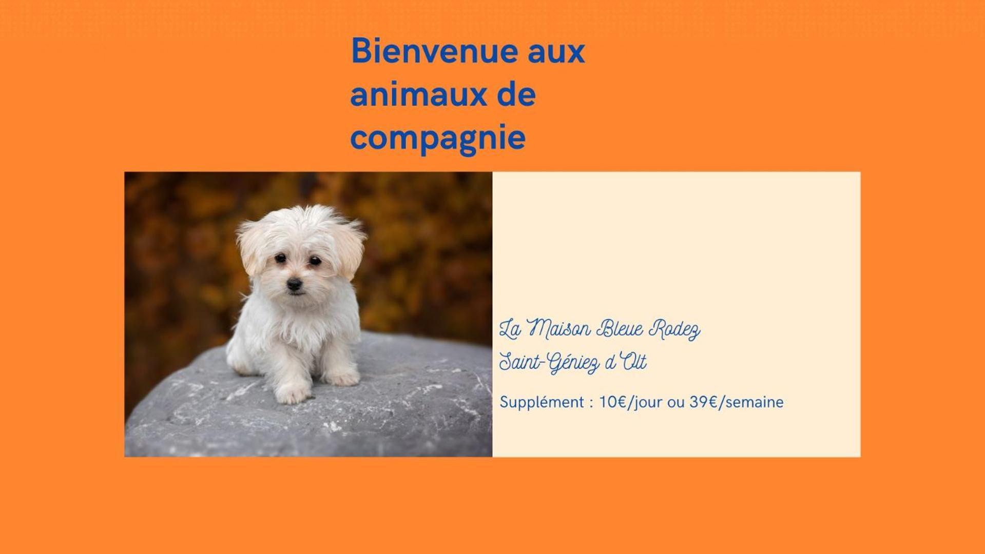Au 11 T3 Duplex, Village Vacances, Piscines, Parking Saint-Geniez-dʼOlt 외부 사진